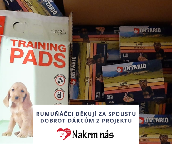 heart for romanian dogs  duben